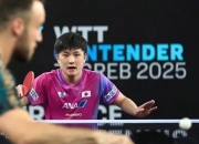 爱游戏官方-波兰队碾压葡萄牙队，张本智和高光表现