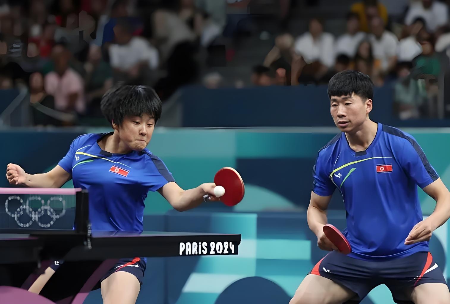 韩国乒乓球队横扫奥地利乒乓球队，波尔制霸全场