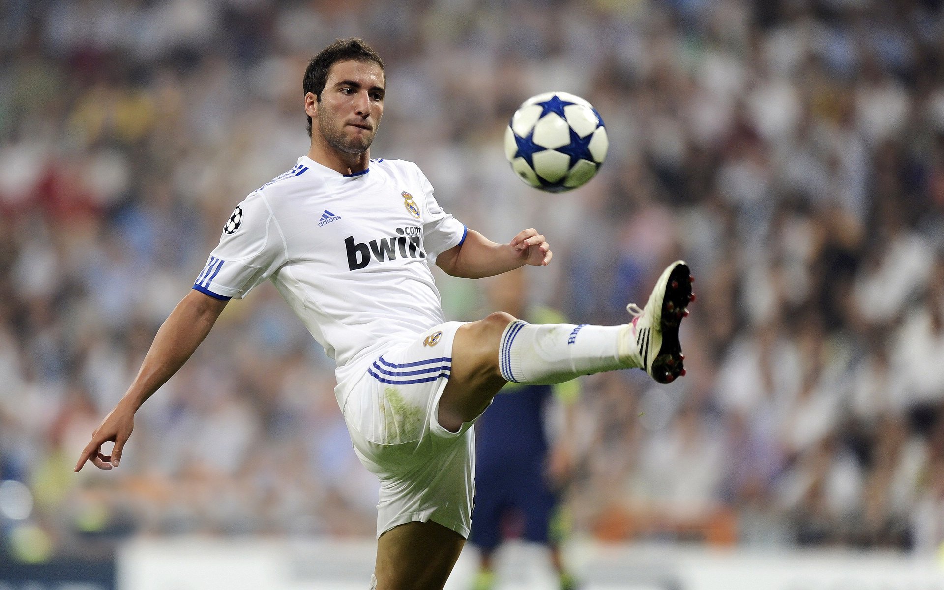 冰封王座与火焰边疆，范弗利特关键时刻的王者宣言